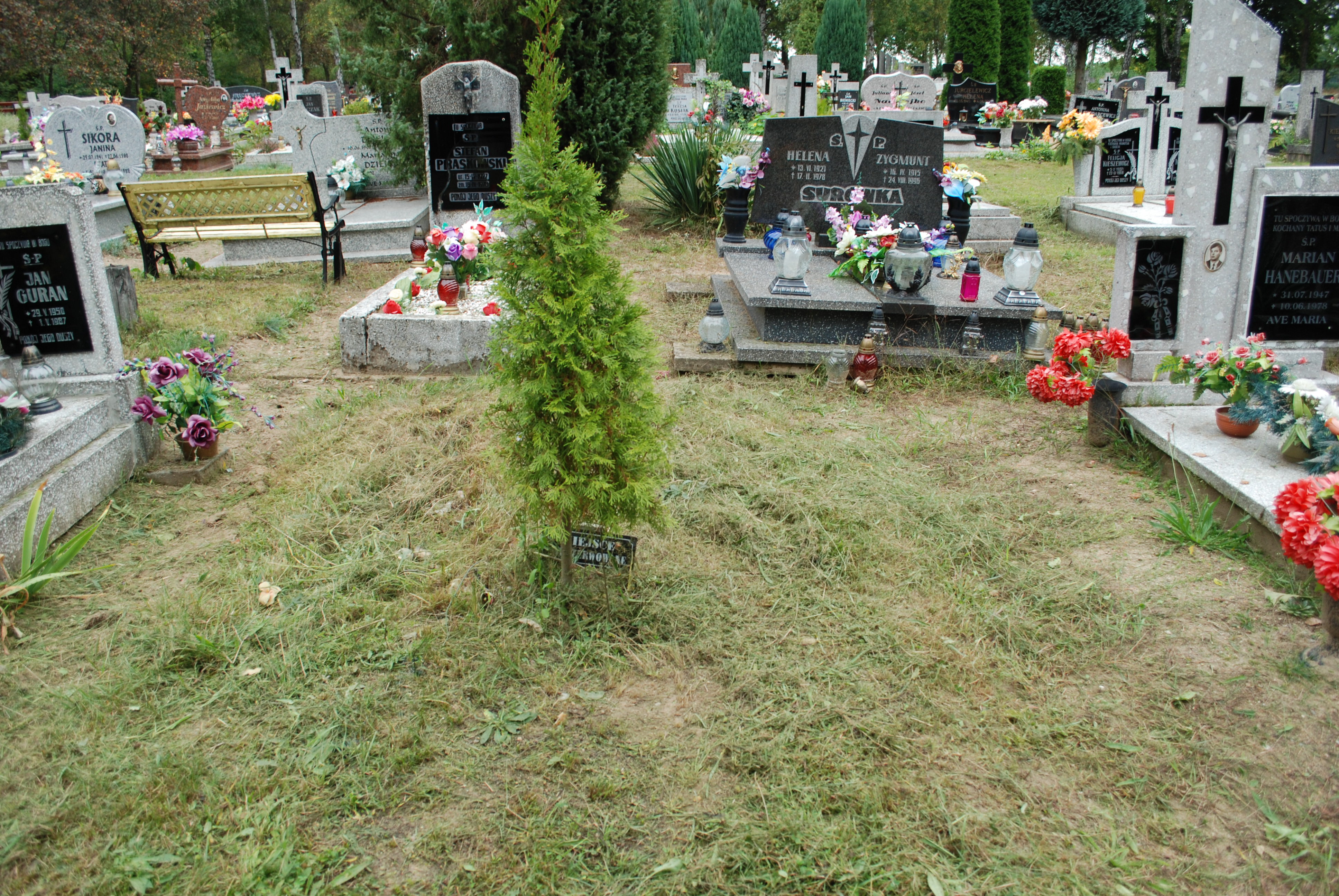 Bolesław Karaś 1934 Torzym - Grobonet - Wyszukiwarka osób pochowanych