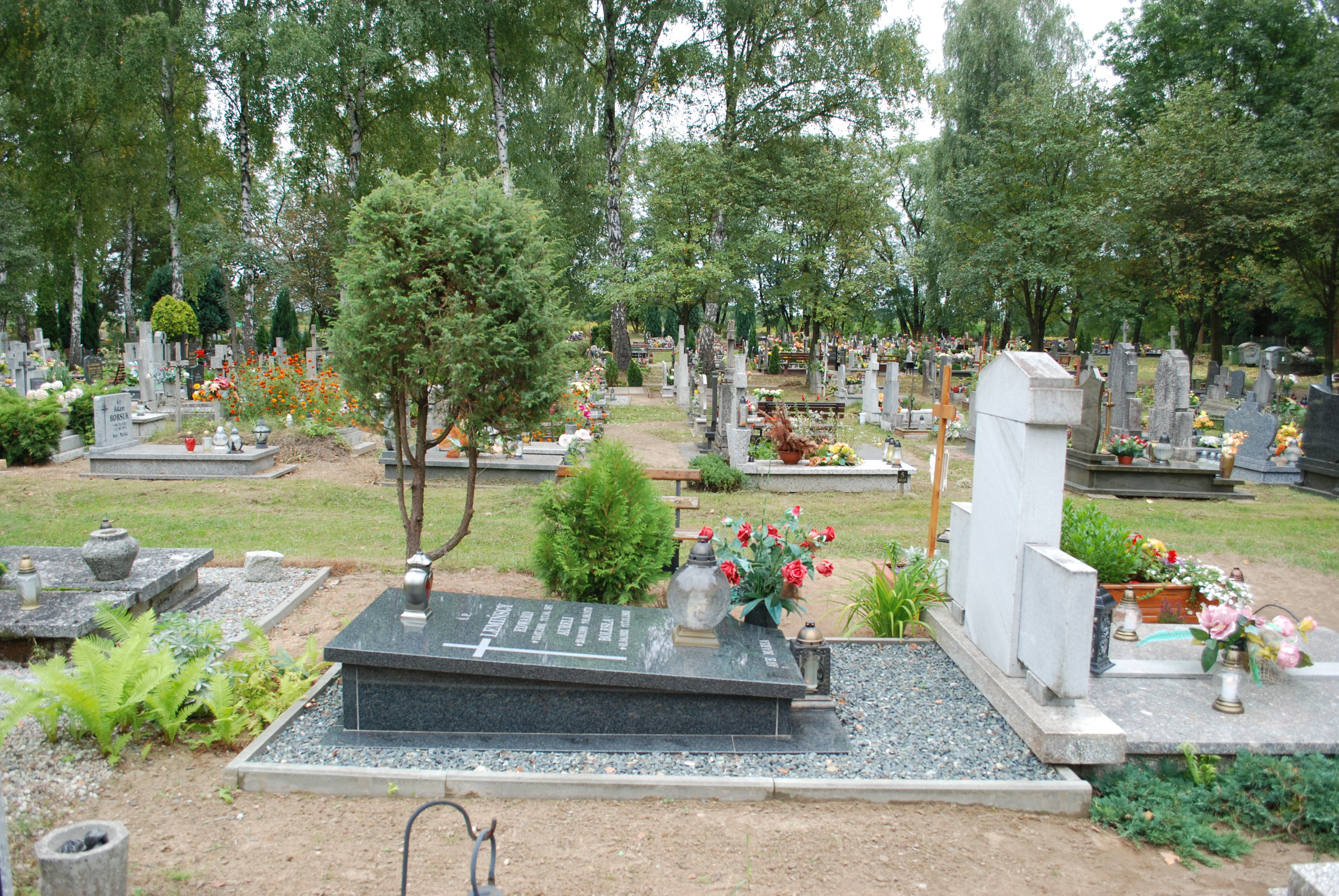 Bolesław Lemiński 1933 Torzym - Grobonet - Wyszukiwarka osób pochowanych