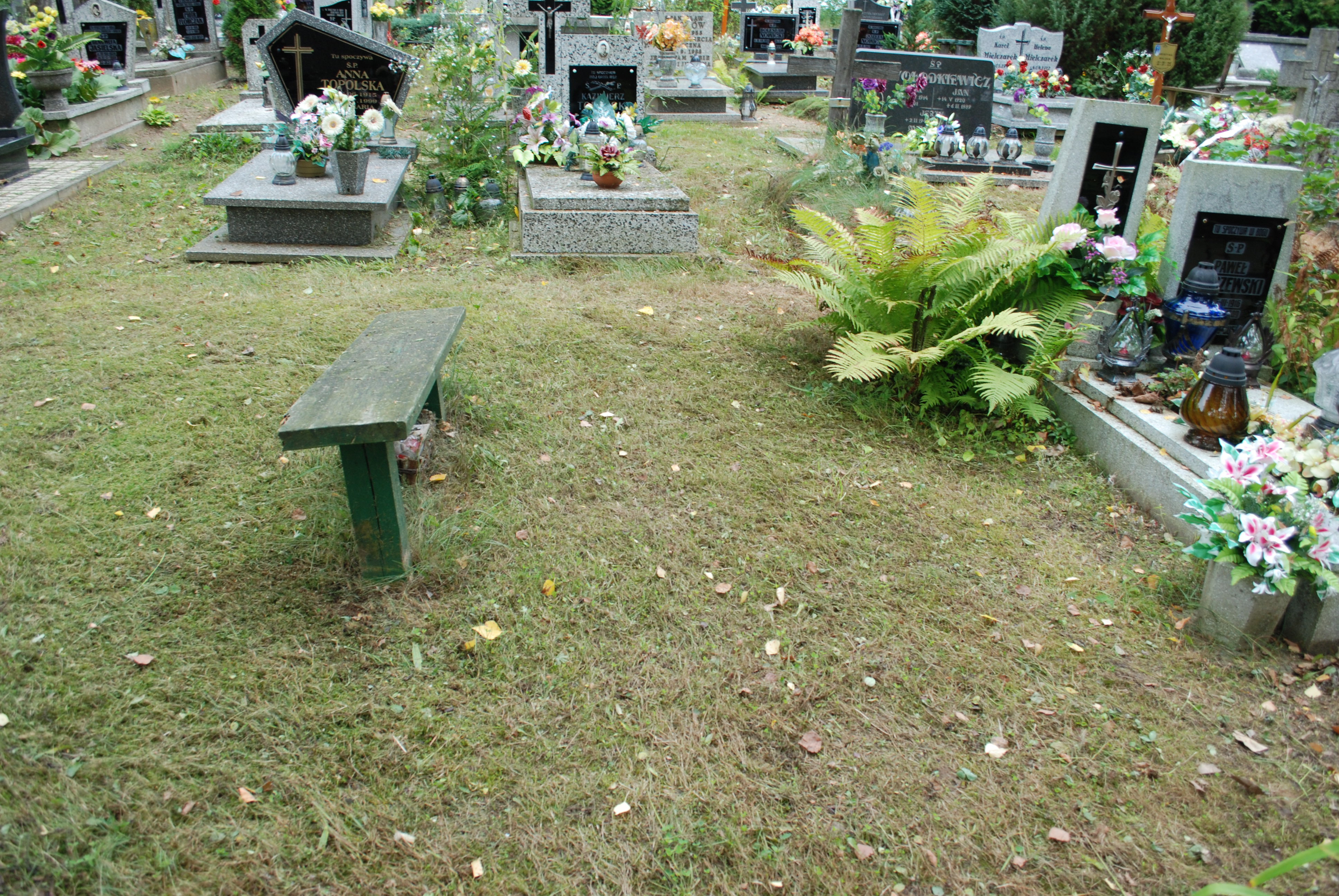 Grób Paweł Żeliszewski