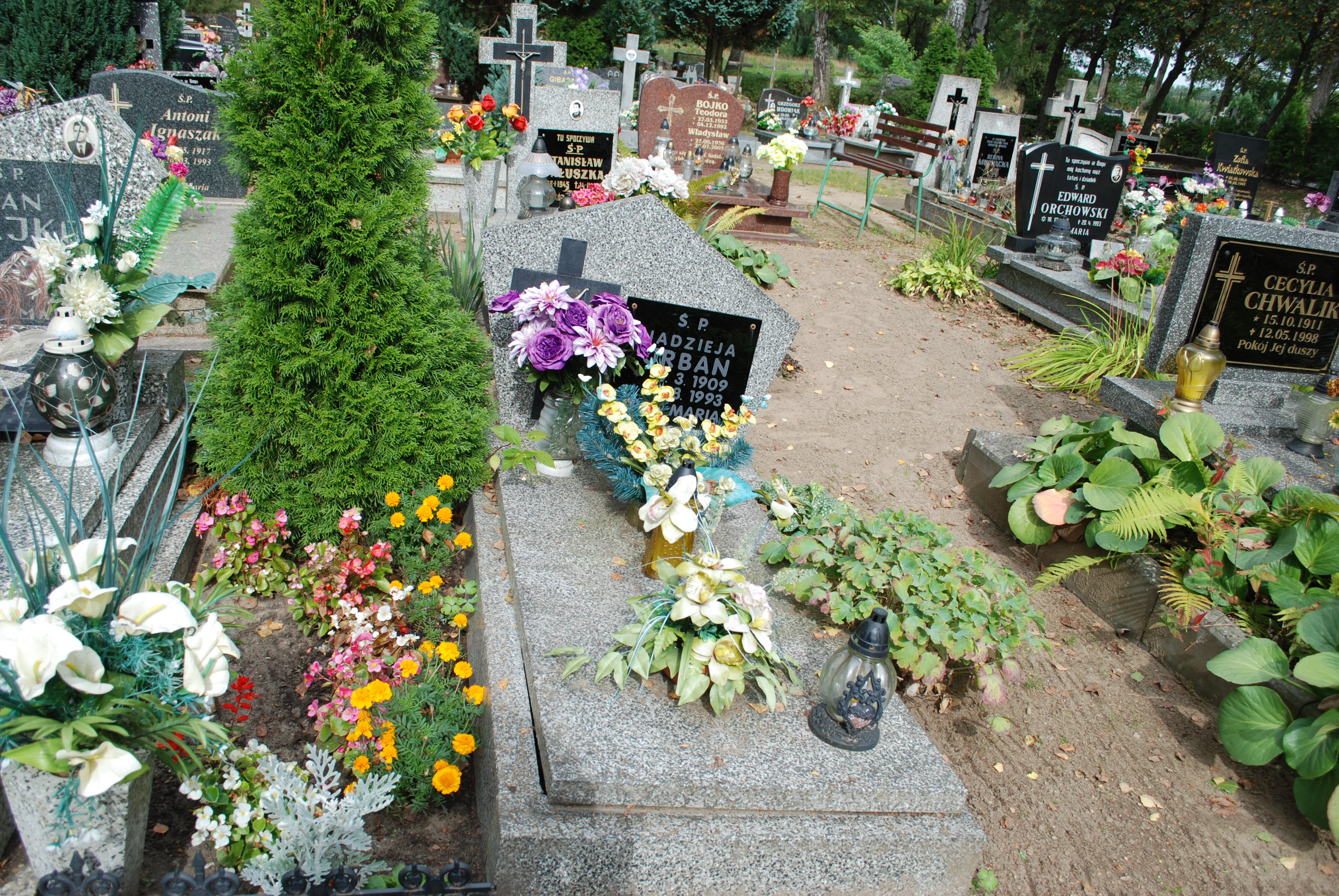 Zdjęcie grobu