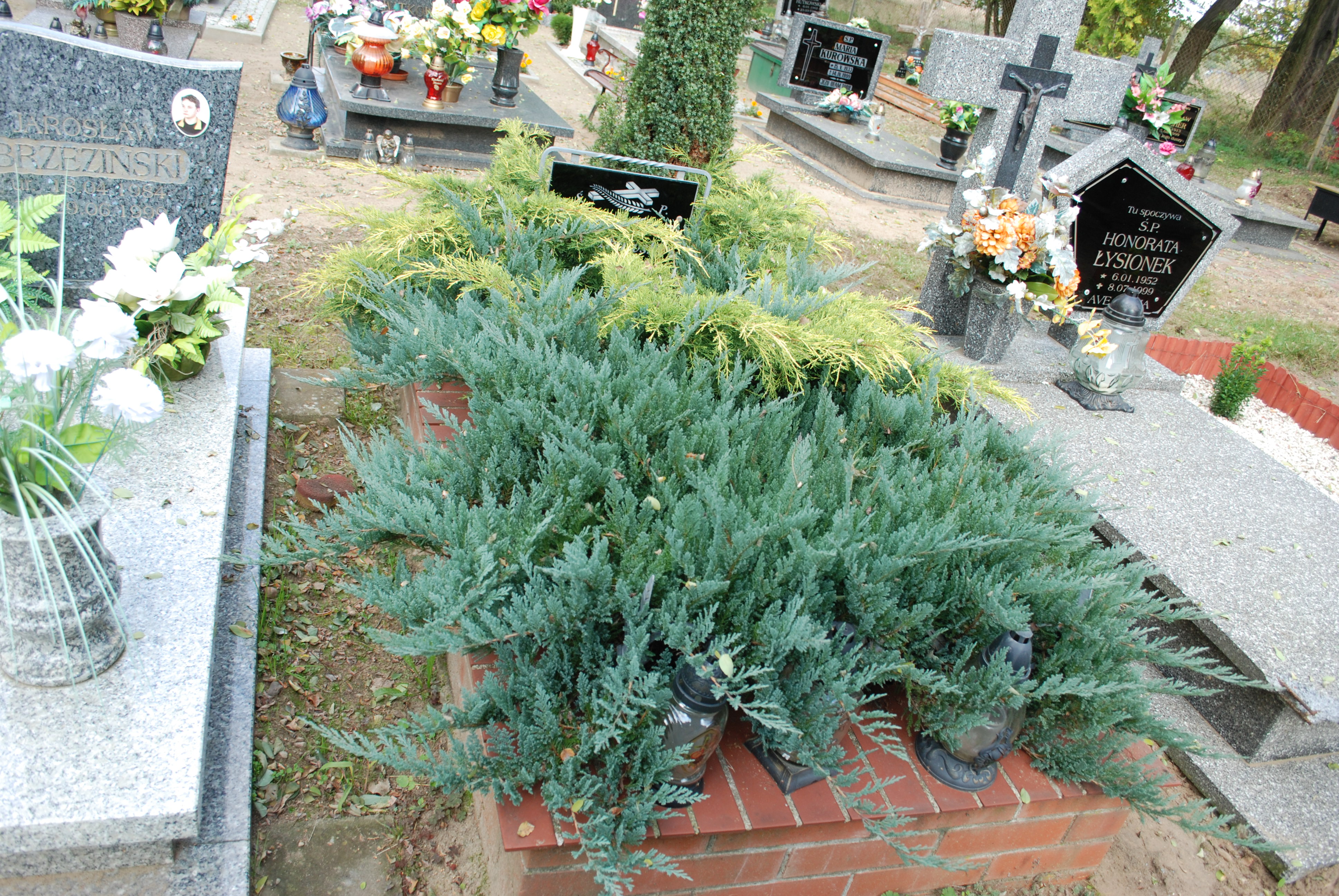 Kazimierz Drążkowski 1939 Torzym - Grobonet - Wyszukiwarka osób pochowanych