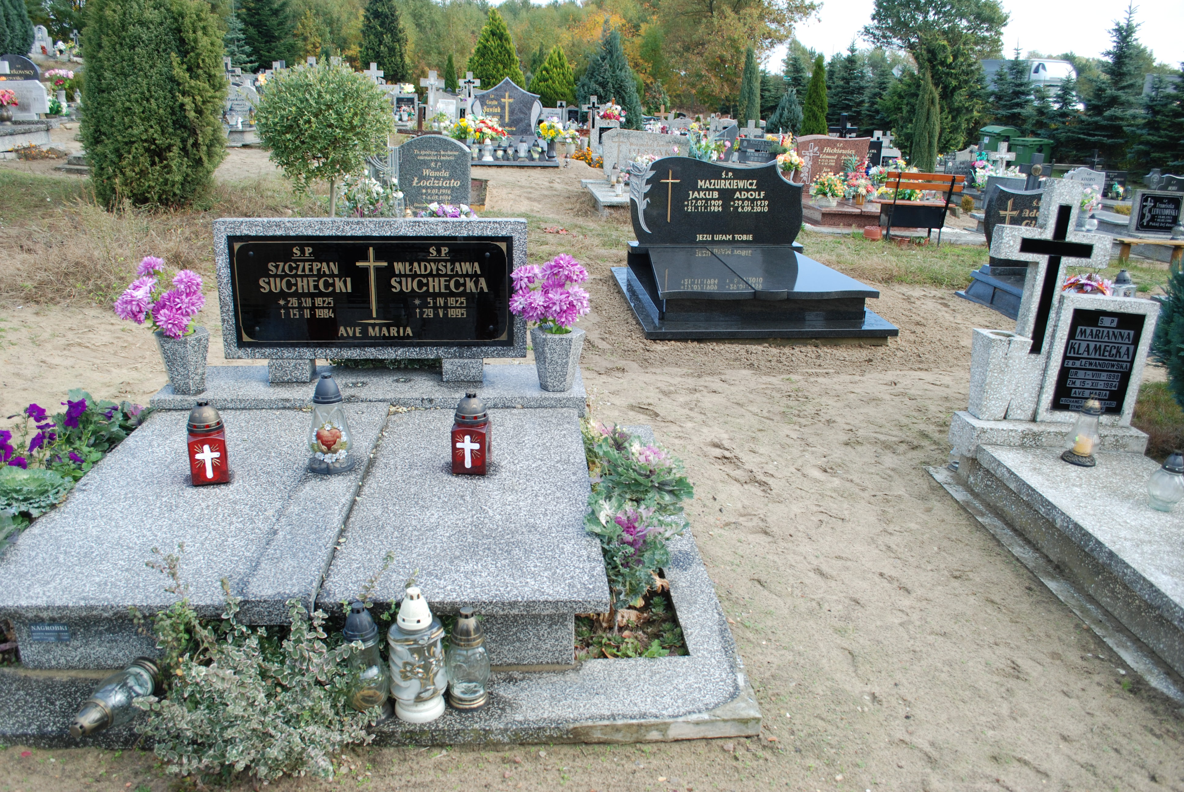 Władysława Suchecka 1925 Torzym - Grobonet - Wyszukiwarka osób pochowanych