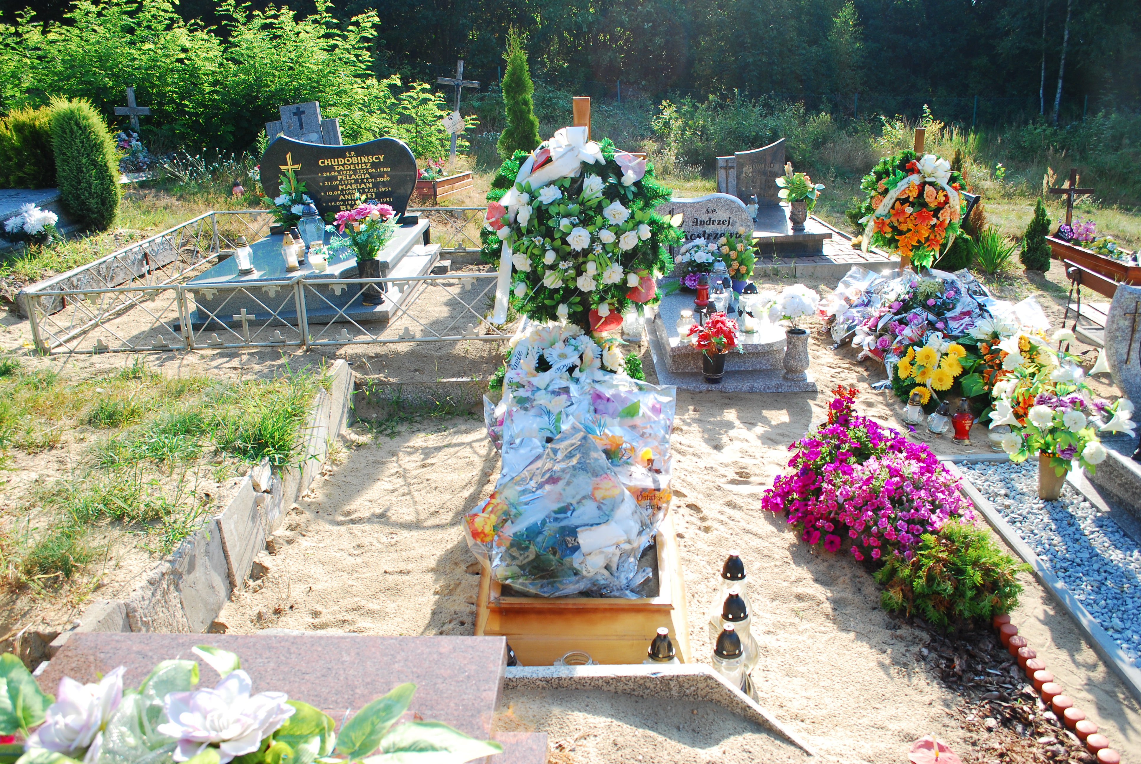 Ryszard Oleszczuk 1939 Torzym - Grobonet - Wyszukiwarka osób pochowanych