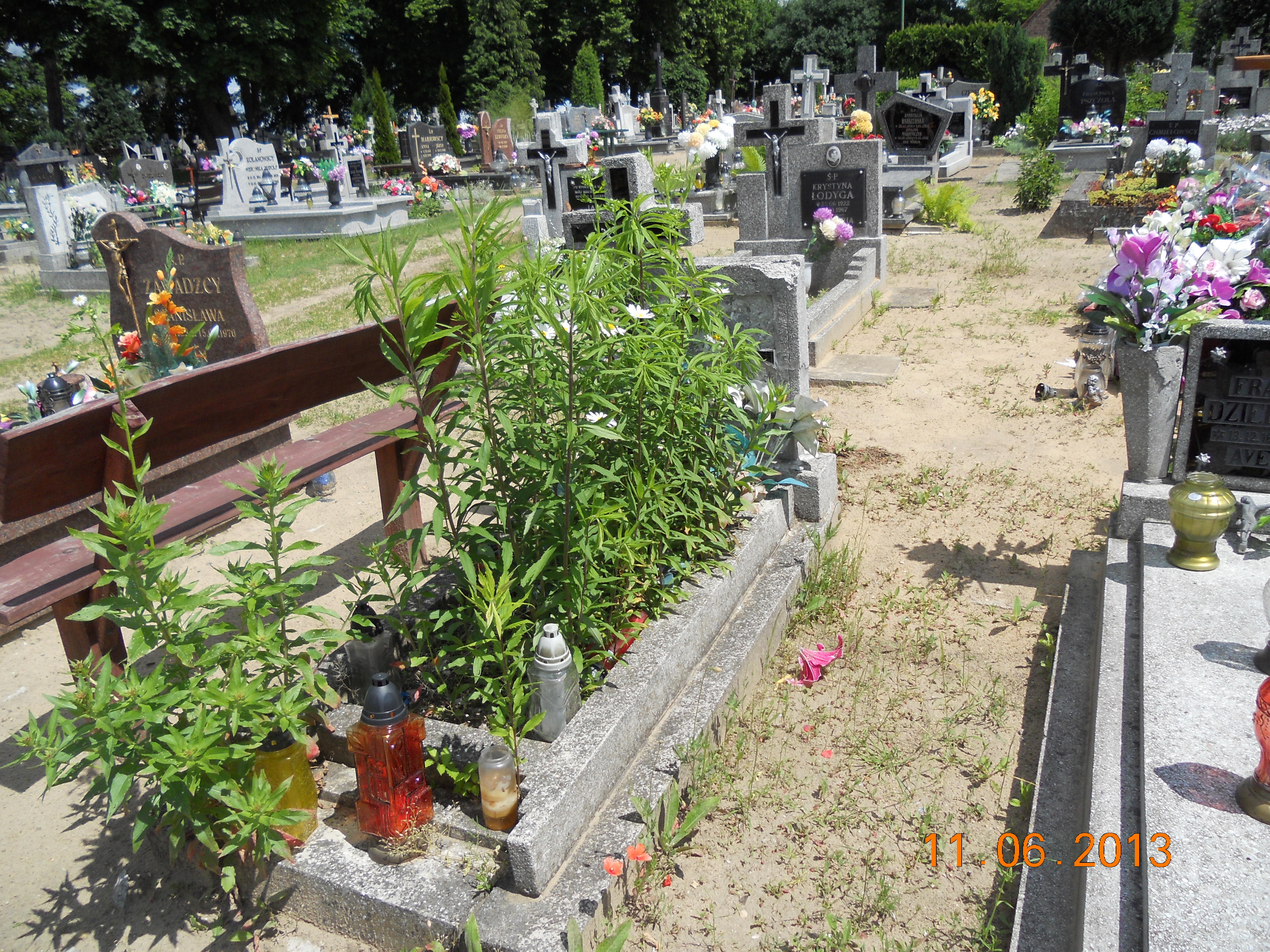  Juszkiewicz 1888 Torzym - Grobonet - Wyszukiwarka osób pochowanych