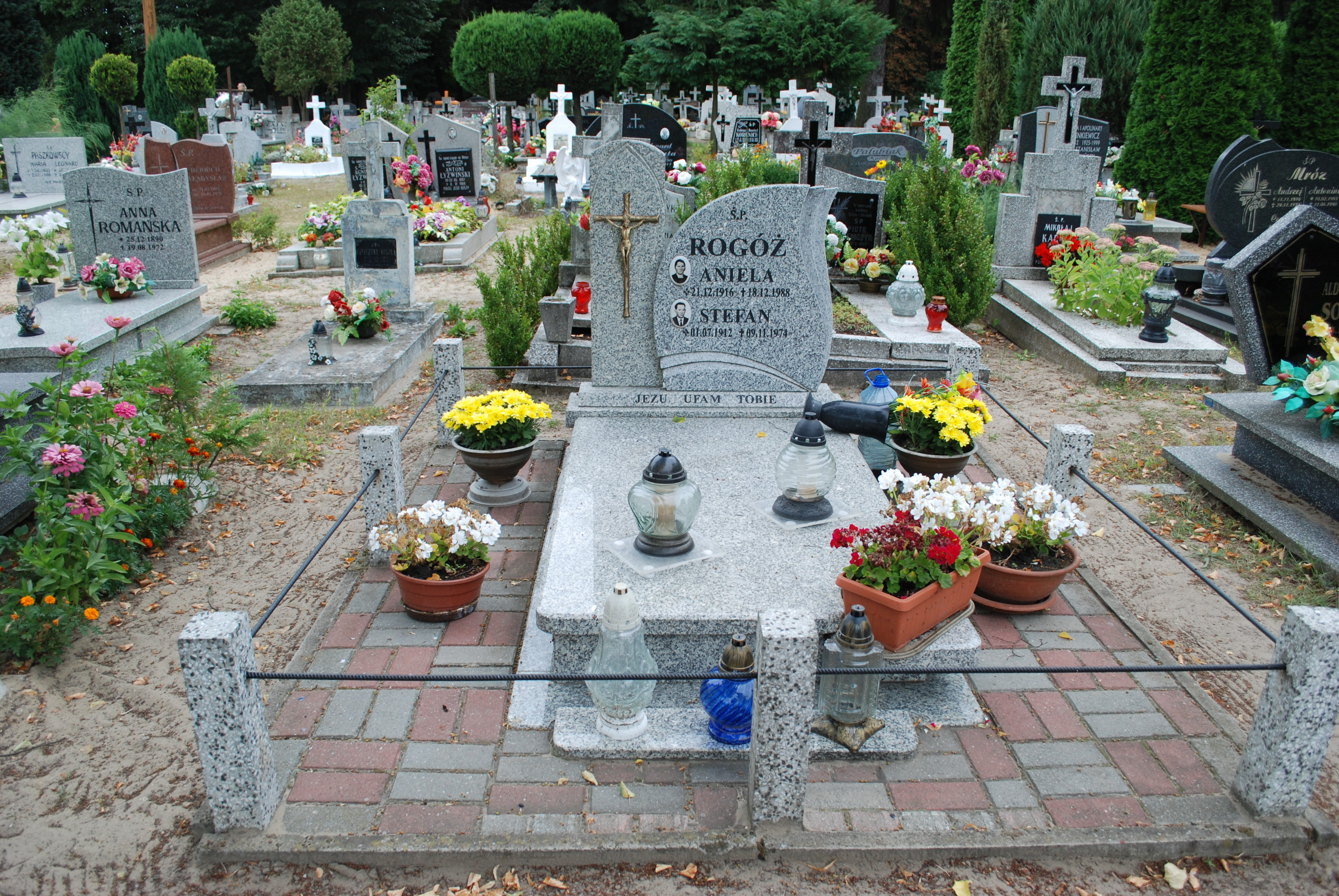 Grób Aniela Rogóż