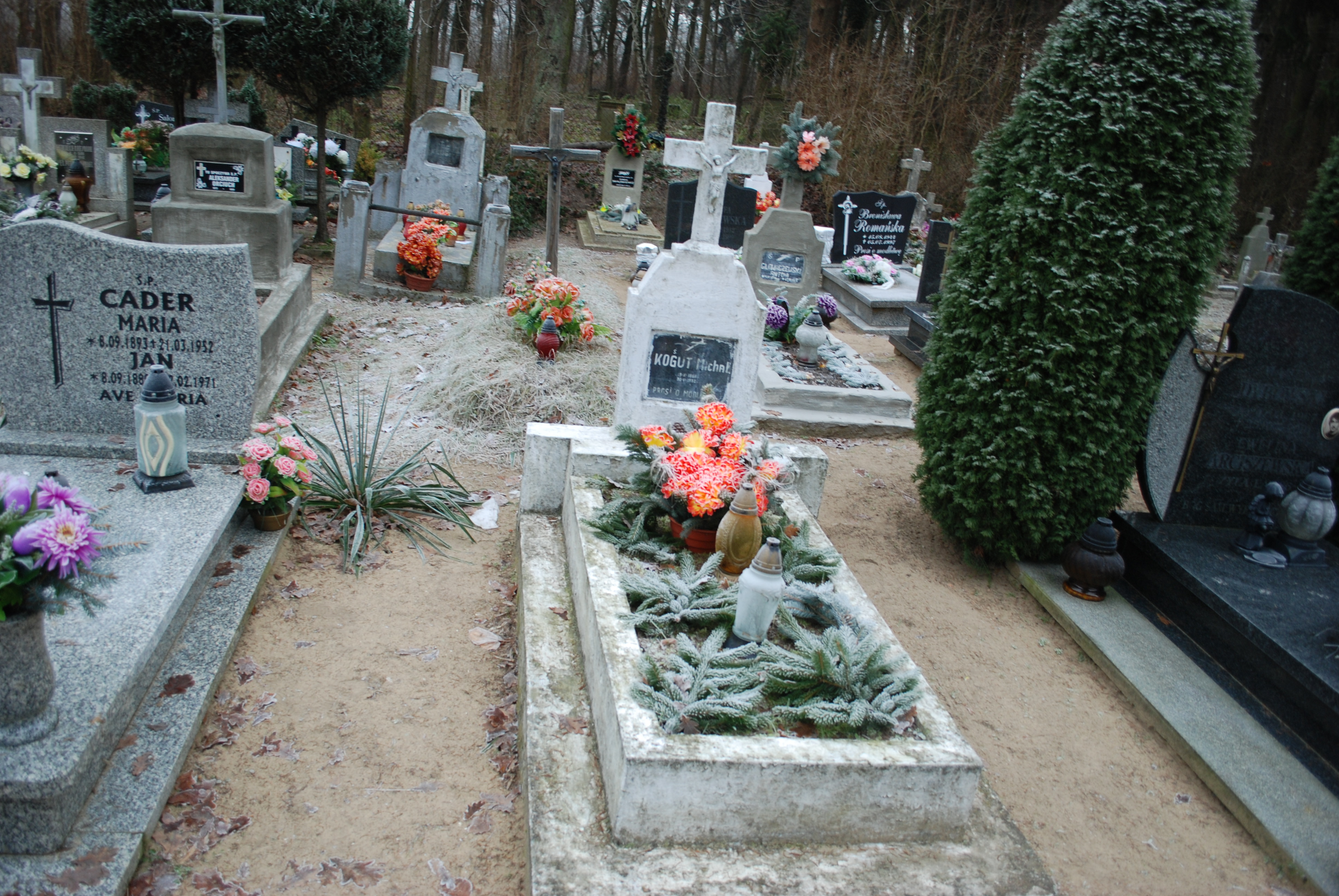 Grób Michał Kogut