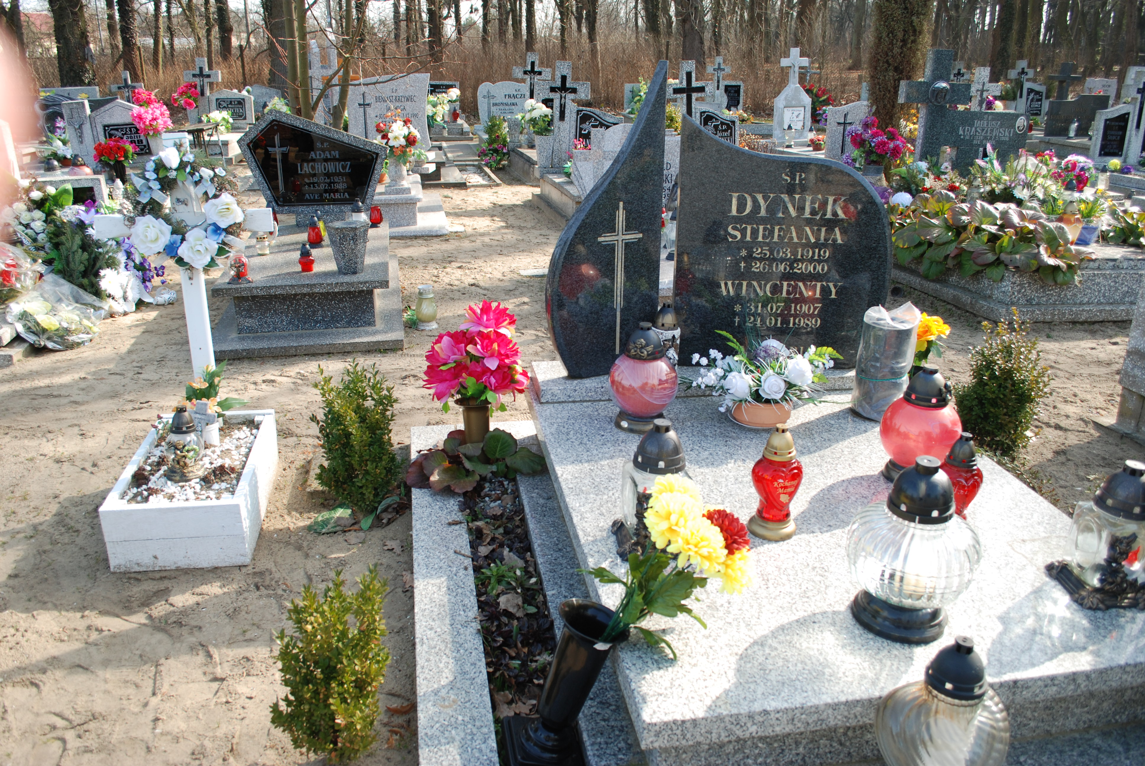 Grób Stefania Dynek