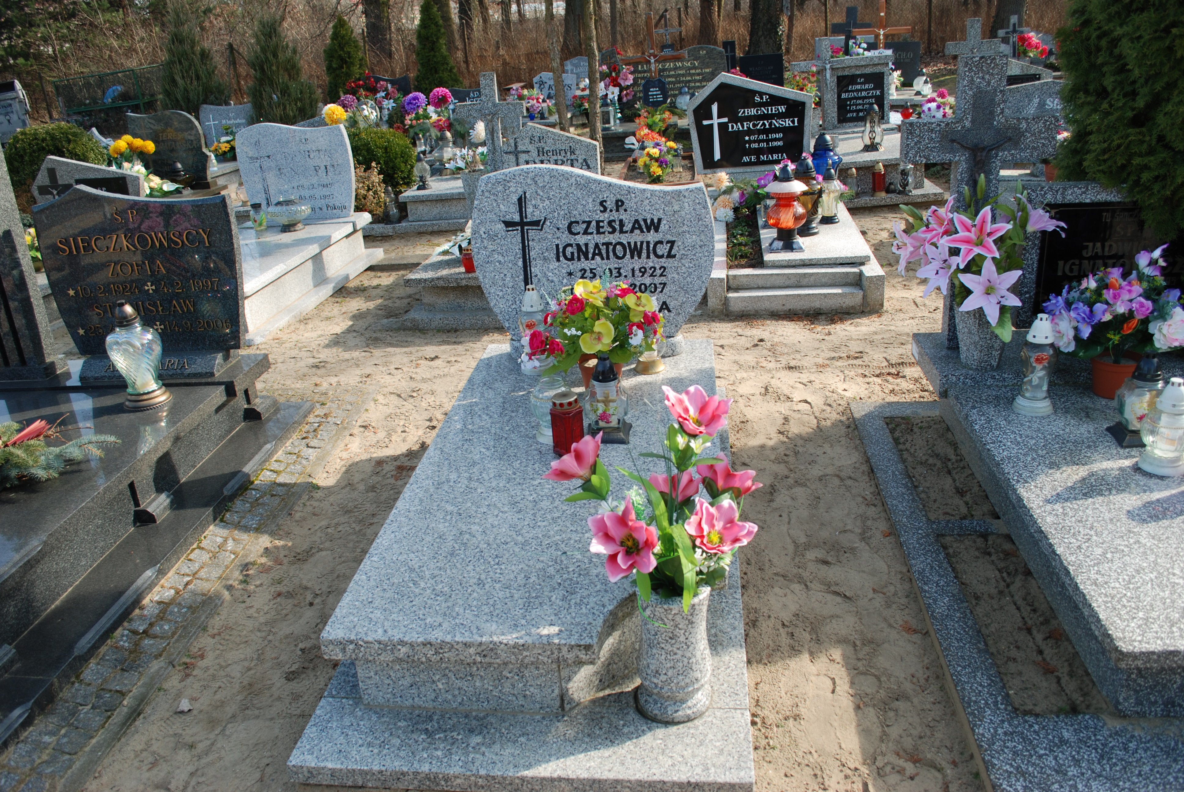 Grób Czesław Ignatowicz